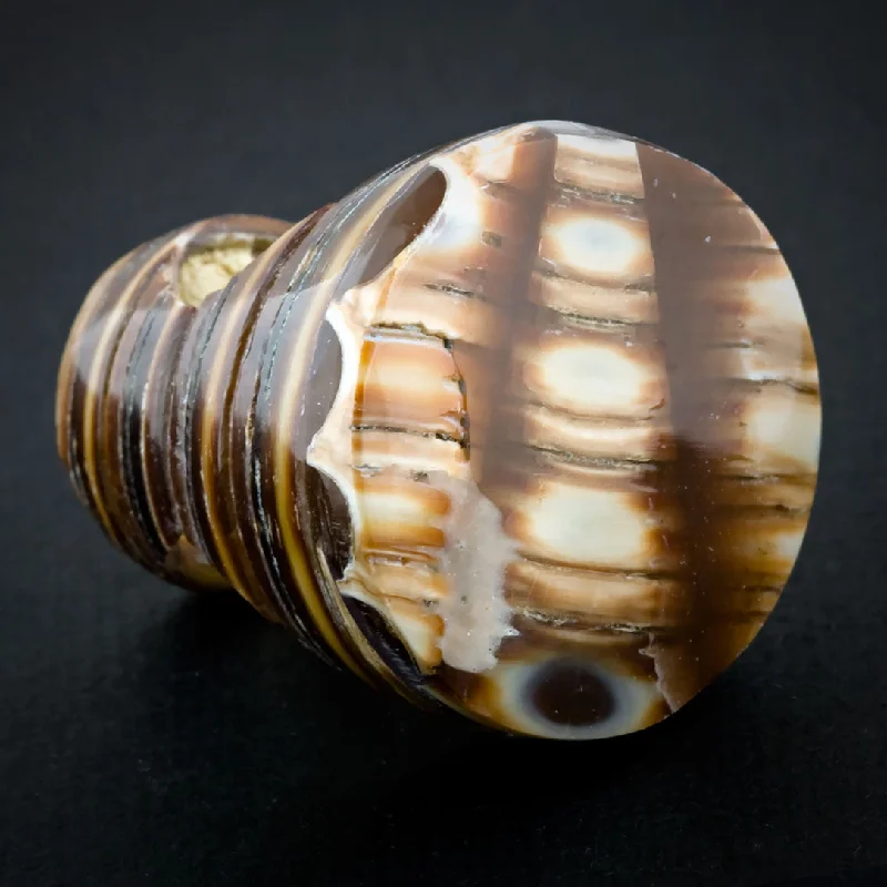 The Biggest Jewelry Sale Of The Year Is Here Sand Seashell Ring - Crosspiece