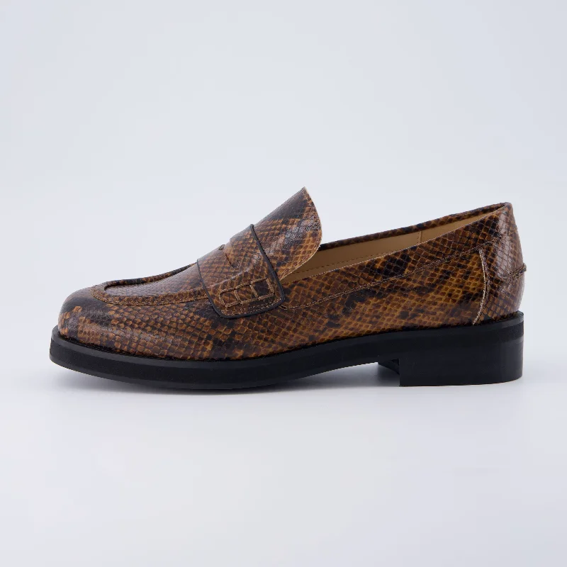 Brown Snake